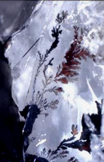 dendrites in quartz crystals