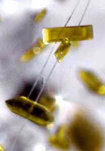 epidote inclusions in quartz