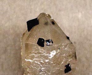 ilvaite inclusions in quartz