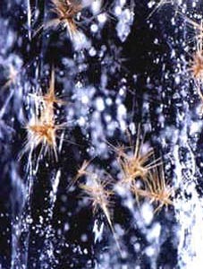 rutile sagenite star in quartz crystals