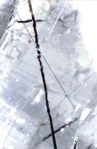 tourmaline inclusions in quartz crystals