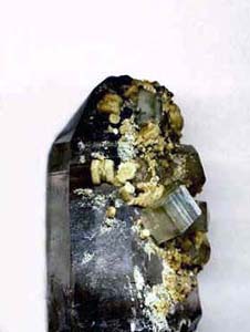 apatite su quarzo affumicato
