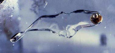 quarzo bolla di acqua idrocarburi