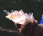 quartz cluster in vein of alpine type
