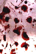 hematite inclusions