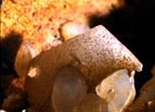 tridymite crystals upon low-quartz 