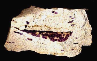 amethyst beta quartz in rhyolite trachyte