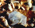 tridymite crystals cluster
