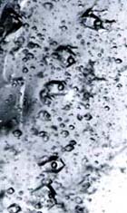 negative crystals faces