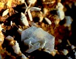 twinned tridymite crystals