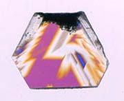 quartz sections a polarized light