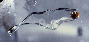 quartz water liquid inclusions selvino