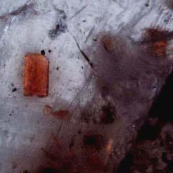 allanite in quartz 