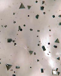 pyrite and calcopirite inclusions in quartz polar urali