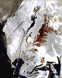 quartz dendrites inclusions