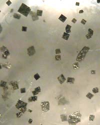 pyrite  inclusions in quartz brazil