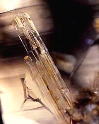 scapolite inclusions in quartz valsusa